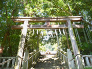 たかやさんの阿蘇神社（東京都羽村市）への投稿写真1