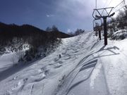 なべ太郎さんのやぶはら高原スキー場への投稿写真1