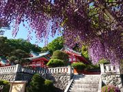 すうさんの足利織姫神社の投稿写真1