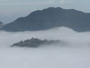 ひなたんさんの竹田城跡の雲海への投稿写真1