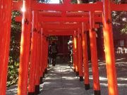 來宮神社の写真1