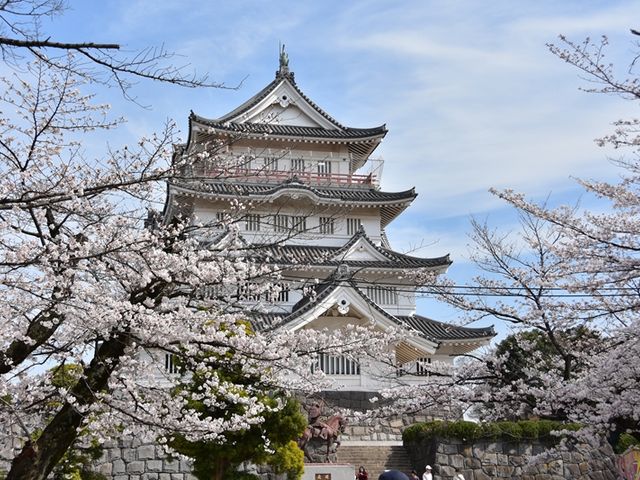 亥鼻公園の桜の口コミ一覧 じゃらんnet