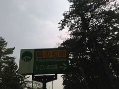 L^J̏̍̕Lւ̓eʐ^1
