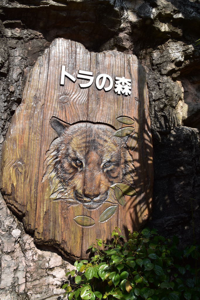 上野動物園 ゴリラ トラの住む森の口コミ一覧 じゃらんnet