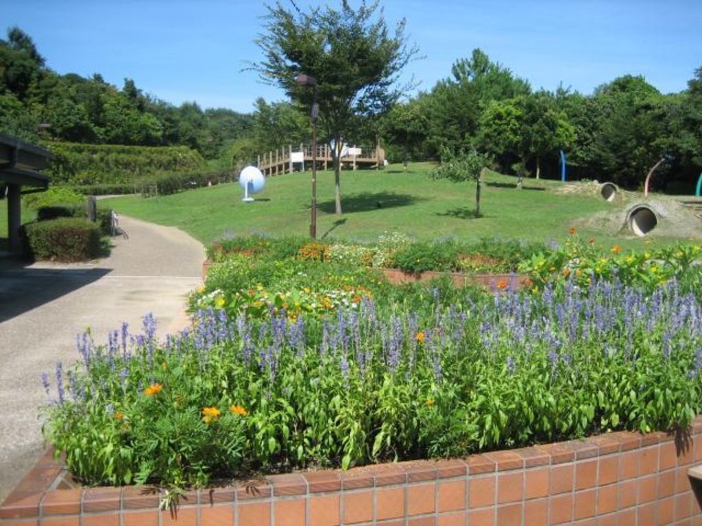 垂坂公園・羽津山緑地