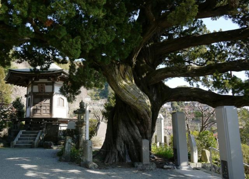 The Byakushin of Joganji Temple
