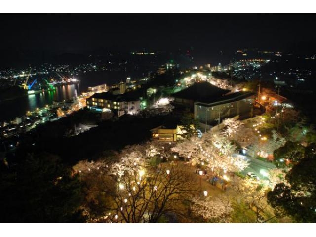 千光寺公園の桜ライトアップ