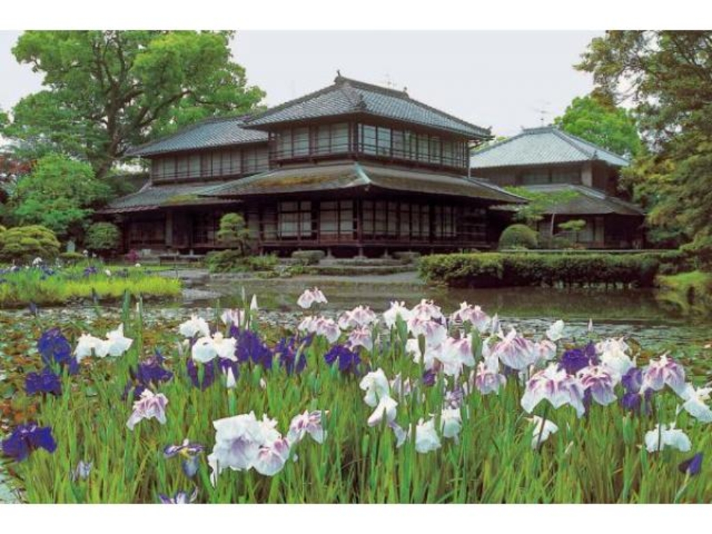 八代市のイベントランキング