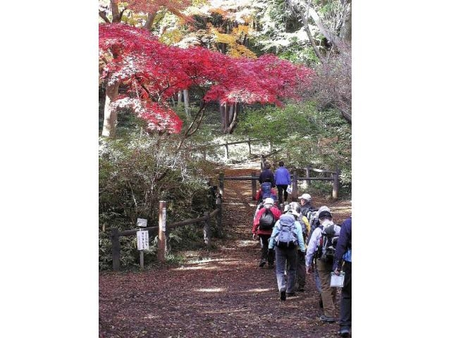 天覧山の紅葉 アクセス イベント情報 じゃらんnet