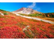 大雪山旭岳の紅葉の写真1