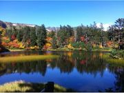 大雪山高原温泉の紅葉の写真1