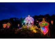 童話村の森ライトアップの写真1