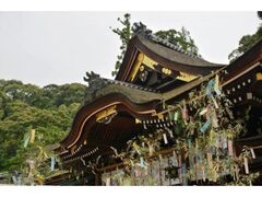 大神神社　七夕祭の写真1
