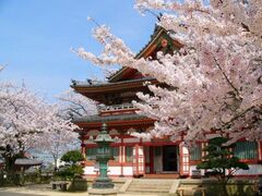 耕三寺の桜の写真1