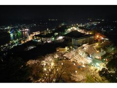 千光寺公園の桜ライトアップの写真1