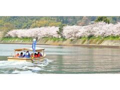 萩八景遊覧船　桜観賞コースの写真1