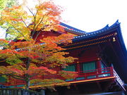 kazuさんさんの日光山　輪王寺への投稿写真1