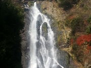 ゆうさんの神庭の滝の紅葉への投稿写真1