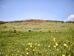 ジョンさんの四阿山への投稿写真1