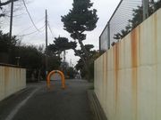さとけんさんの旧東海道松並木（神奈川県大磯町）への投稿写真1