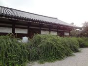 イオンさんの元興寺の萩への投稿写真1
