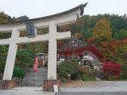 菊ちゃんさんの夫婦木神社への投稿写真1