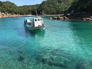 かっくんさんの竜串～見残し往復　竜串グラスボート(たつくし海中観光)への投稿写真1