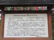 しゅんさんの蒲生八幡神社（鹿児島県姶良市）への投稿写真1