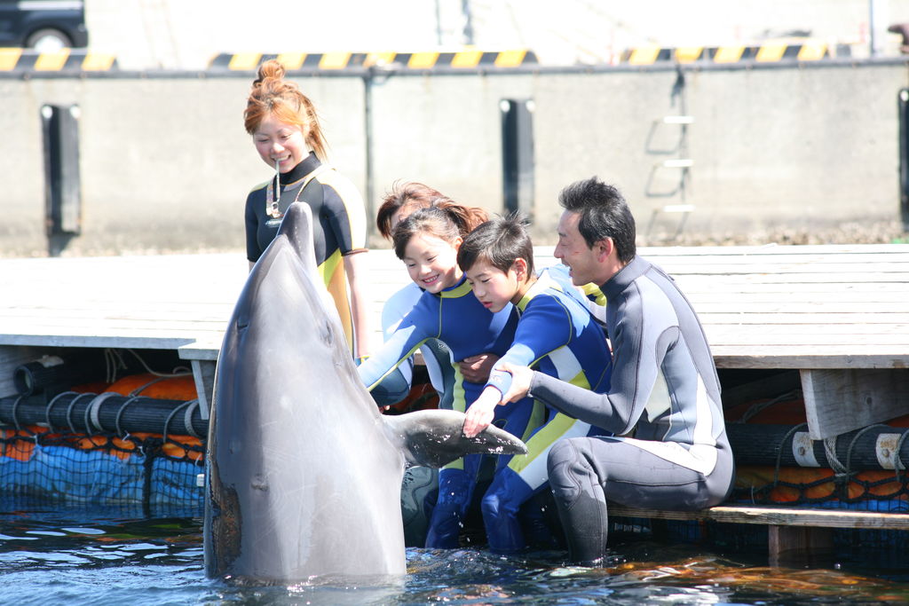 東海の水族館ランキングtop10 じゃらんnet