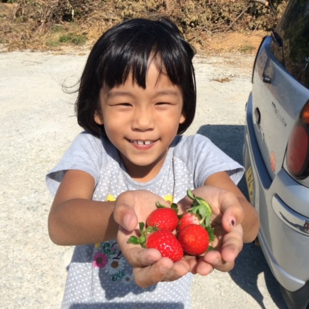 西海岸 東海岸の果物 野菜狩りランキングtop10 じゃらんnet