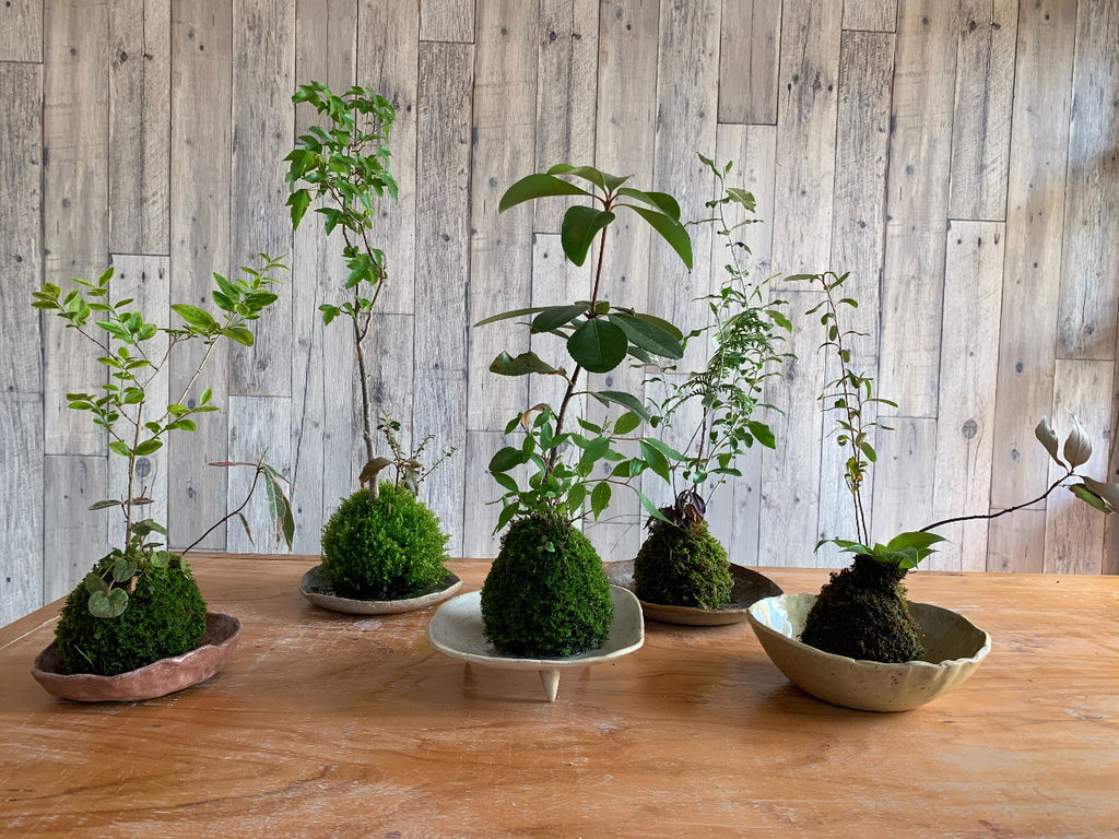 230★陶器リメイク鉢★植木鉢★多肉植物★寄せ植え☆ミニ盆栽☆山野草★苔玉