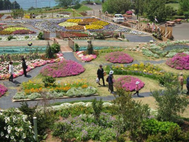 最新長 島町 花 フェスタ すべての美しい花の画像