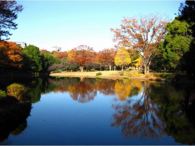 北の丸公園の紅葉 アクセス イベント情報 じゃらんnet