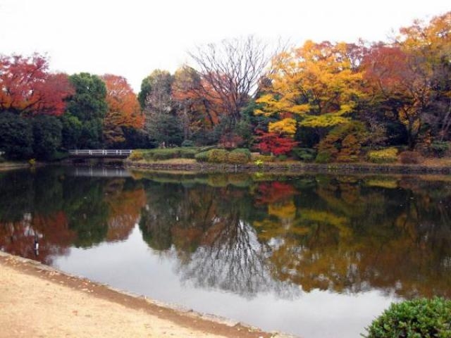 北の丸公園の紅葉 アクセス イベント情報 じゃらんnet