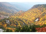 蔵王山の紅葉の写真1