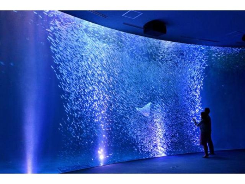 名古屋港水族館 サマーナイトアクアリウム アクセス イベント情報 じゃらんnet 名古屋港水族館 サマーナイトアクアリウム アクセス イベント情報 じゃらんnet