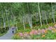 富士見高原リゾート花の里　ヘメロカリス・アジサイの開花の写真2