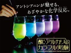 国指定重要文化財「大阪市中央公会堂」館内ガイドツアー（2023年春）周辺のイベントランキング