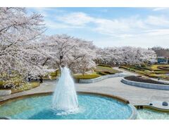 国営みちのく杜の湖畔公園　春の花フェスタの写真1