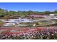 国営みちのく杜の湖畔公園　春の花フェスタの写真2
