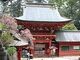 一之宮貫前神社の桜の写真3