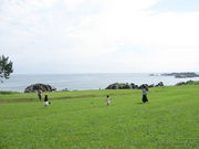 musashiさんのみちのく潮風トレイル（種差海岸遊歩道）への投稿写真1