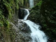 ミニママさんの竜化の滝への投稿写真1