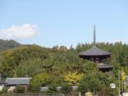 キヨさんの法輪寺の投稿写真1