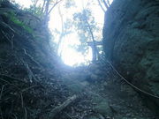 JOEさんの岩戸山樹叢への投稿写真1