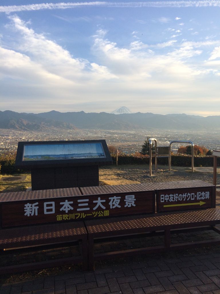 綺麗な富士山 笛吹川フルーツ公園 フルーツセンターの口コミ じゃらんnet