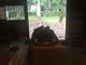 Kuda12̔qlSg̉Ɓi]˓Ẳjւ̓eʐ^2