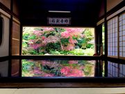 ナベさんの寿福寺（長崎県佐世保市）への投稿写真1