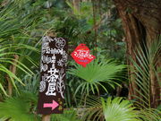 ユウ102さんの亜熱帯植物楽園由布島への投稿写真1