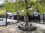 こぼらさんの道の駅 若狭熊川宿への投稿写真1